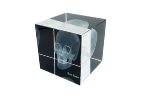 Three-Dimensional Skull in Glass Cube