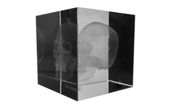 Three-Dimensional Skull in Glass Cube